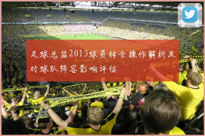 足球总监2013球员转会操作解析及对球队阵容影响评估